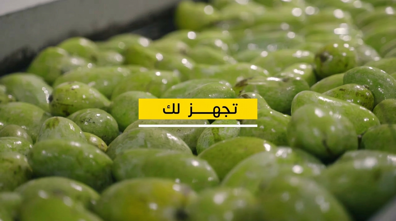 تصوير فيديو في جازان — إنتاج سينمائي من استوديو عارف